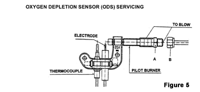 Oxygen Depletion Sensor (ODS) Servicing